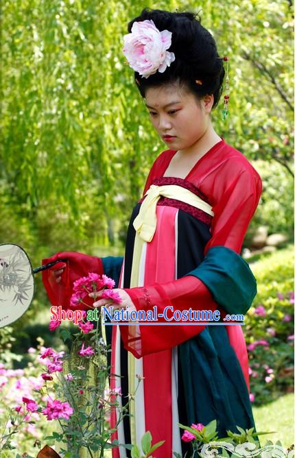 Chinese Ancient Tang Dynasty Lady Costume