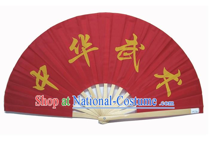 Chinese Kung Fu Teacher Fan