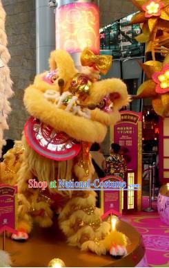 Display and Collection Handmade Lion Dance Costume Complete Set