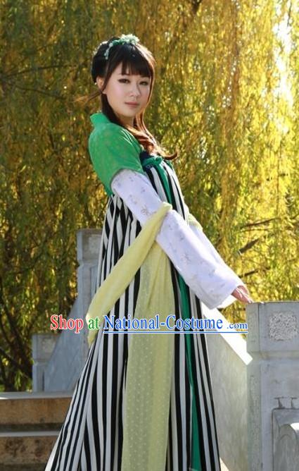 Ancient Chinese Tang Dynasty Palace Lady Costumes