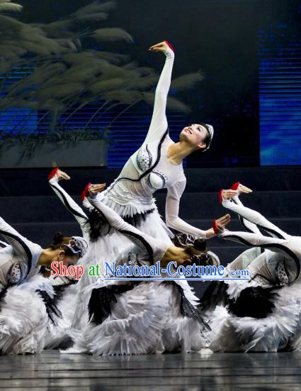 Chinese Swan Dance Costume Complete Set for Women