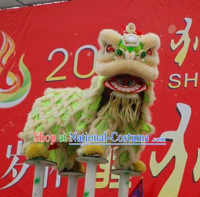 Fluorescent Competition and Parade Lion Head and Costumes Complete Set