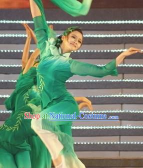 Traditional Chinese Green Willow Dance Costumes and Hair Accessories for Women