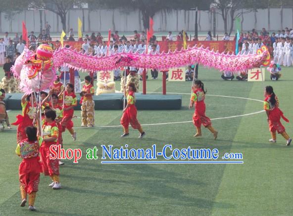 Professional Competition and Parade Luminous Dragon Dancing Costume Complete Set