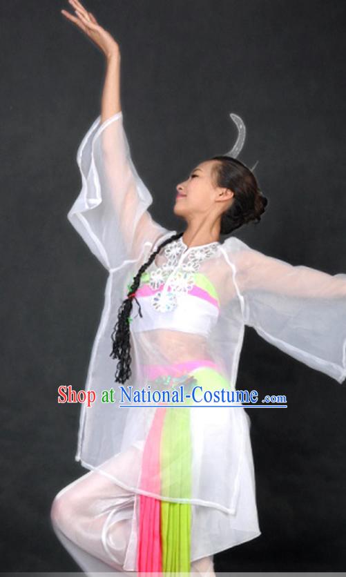 Traditional Chinese Classical Dance Costume and Headpiece for Women