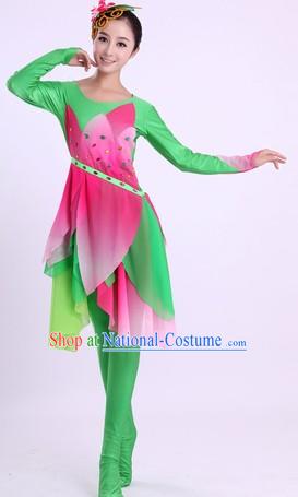 Traditional Chinese Classic Dance Costume and Headwear for Women