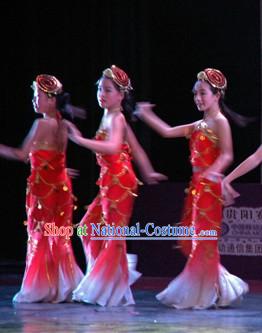 Traditional Chinese Fish Dance Costumes Complete Set