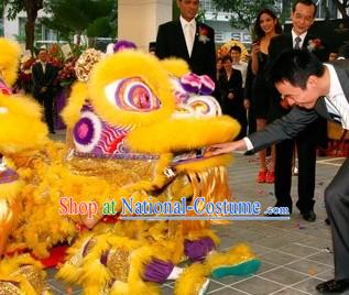 Wish You a Happy New Year Supreme Lion Dance Costumes Complete Set