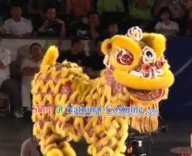 World Lion Dance Competition Hoksan Lion Head Adult Size Costumes Complete Set