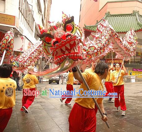 Southern Luminous Dragon Dance Costume for 9-10 People