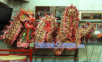 Top Luminous Dragon Dance Costume for 9-10 People