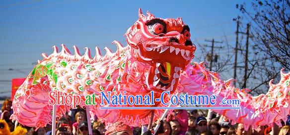 Phoenix Pattern Chinese Lunar New Year Dragon Dance Performance Costume Complete Set