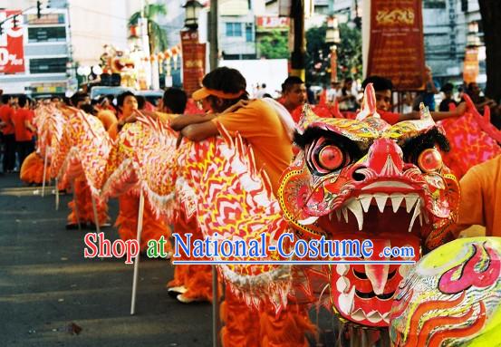 Chinese Year Lumious Dragon Dance Costume for 9-10 Persons