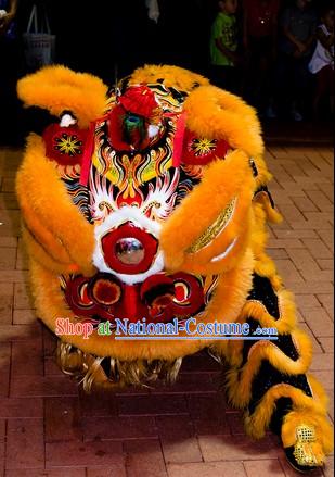 Southern Hoksan Lion Dancing Head and Costumes Rental