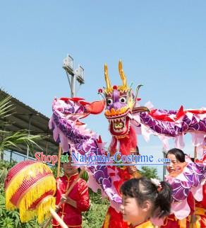 6 Meters Purple Beijing Dragon Dance Costume for Five or Six Kindergarden Children