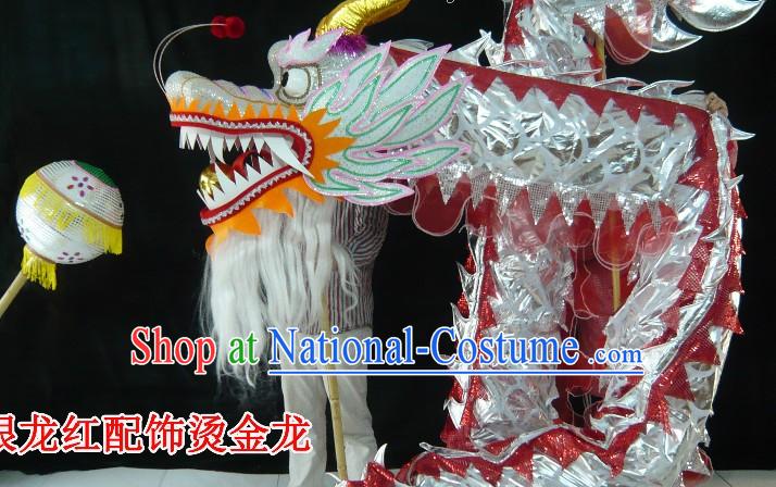 Standard Competition and Parade Silver Dragon Dance Costume for 9-10 Dancers