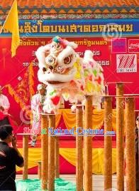 Rainbow Color Lion Dance Head and Tail Costumes Complete Set