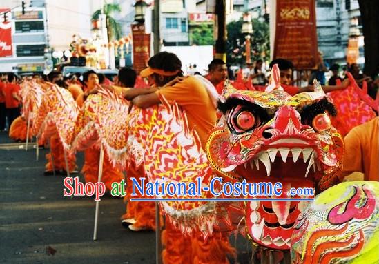 Professional Competition and Parade Glow in the Dark Dragon Dance Costumes Complete Set