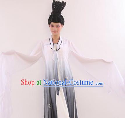 Asian Traditional Water Sleeves Costumes for Women