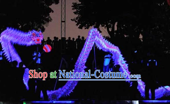 World Luminous Dragon Dance Championships Costume Complete Set