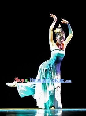 One Shoulder Recital Dance Costumes and Headdress for Professional Dancers