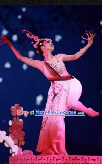 Traditional Chinese Pink Plum Blossom Classical Dancing Costume Complete Set