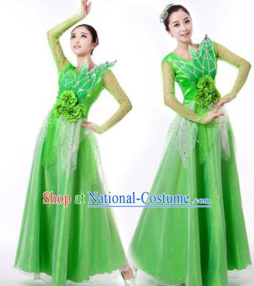 Traditional Chinese Green Leaf Dancing Clothes and Hair Accessories