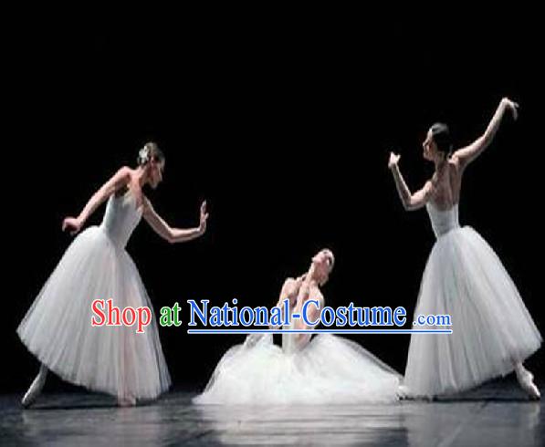 Special Custom Make Ballet Dance Costumes and Hair Decoration