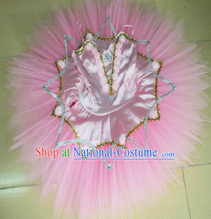 Pink Adult Size Ballet Dance Tutu