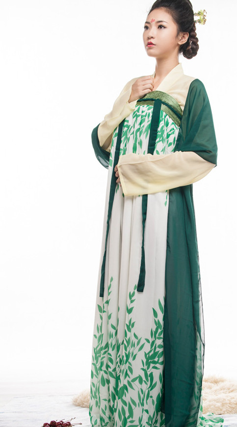 Tang Dynasty Ruqun Outfit for Women