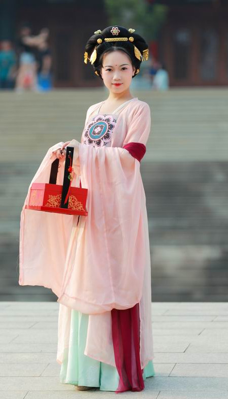 Tang Dynasty Beauty Wide Sleeve Gown