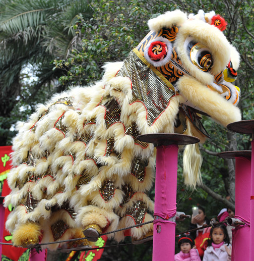 Top Chinese Lion Dancing Costumes for Celebration and Competition