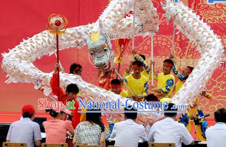 Silver Net Dragon Dance Costume Complete Set