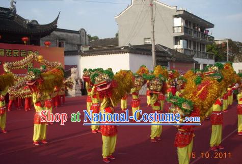 Chinese New Year Parade Lion Costume for One Person