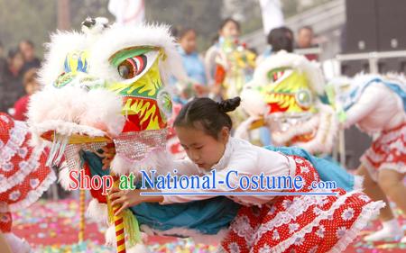 lion dancing dragon dancing equipments and costumes