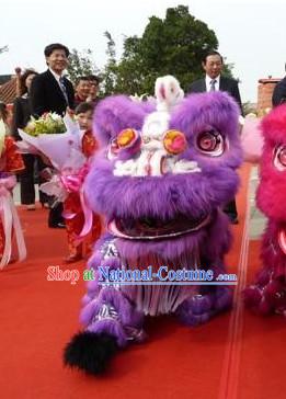 Top Purple Southern Lion Dance Equipment Complete Set