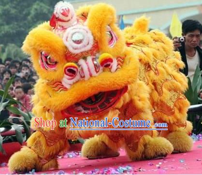 Chinese Festival Lion Costume Complete Set