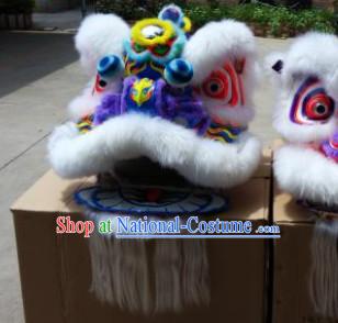 lion and dragon Dance