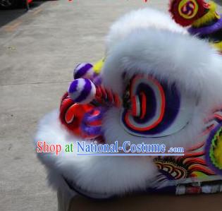 dragon lion Dance