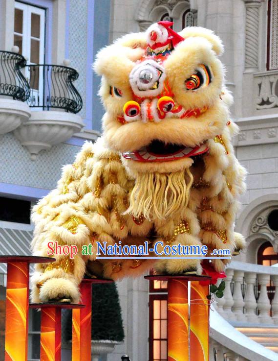 Asian Chinese Lion Costume Complete Set