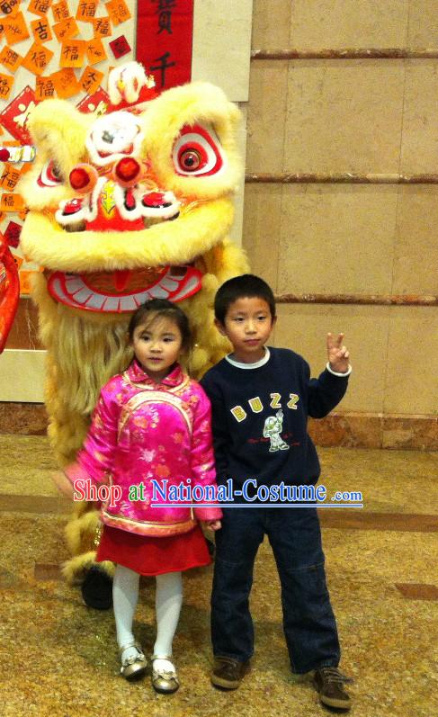 Asian Chinese Lion Costume Complete Set