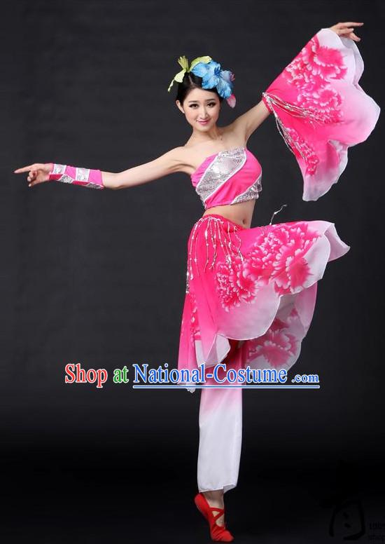 Chinese Classical Girls Dance Costumes Leotards Dance Supply Clothes and Hair Accessories Complete Set