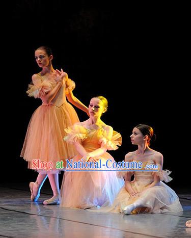 Top Ballet Costume Tutu Ballerina Dance Costumes Dancewear Dance Supply Tutus Free Custom Make Tu Tu