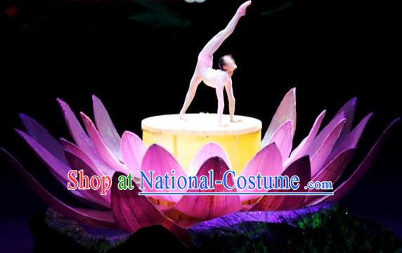 Chinese Dance Costumes Prop Classical Lotus Dance Costume Props Stage Performance Base Folk Decoration