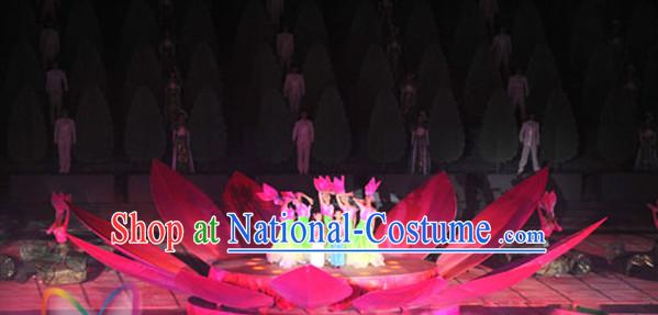 Chinese Dance Costumes Prop Classical Lotus Dance Costume Props Stage Performance Base Folk Decoration