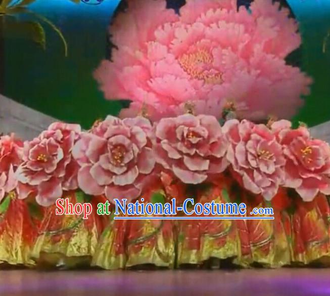 Chinese Dance Costumes Classical Dance Costume Props