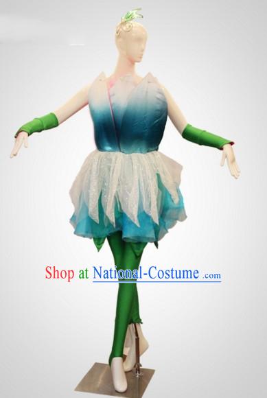 Chinese Folk Leaf Dance Costumes and Flower Headdress Props for Women