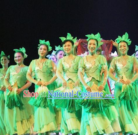 Chinese Classical Leaf Dance Costumes and Headwear Complete Set for Women