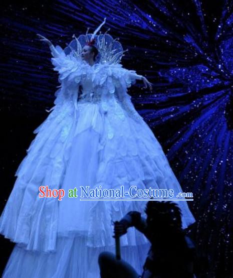 Giant Chinese Stage Dance Costumes Complete Set for Women