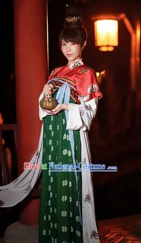 Chinese Tang Dynasty Clothes Clothing Costumes and Hair Accessories Complete Set for Women